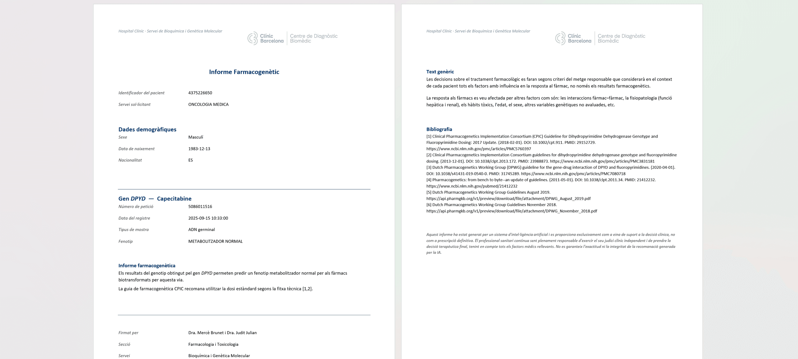 Informe generat (Word)