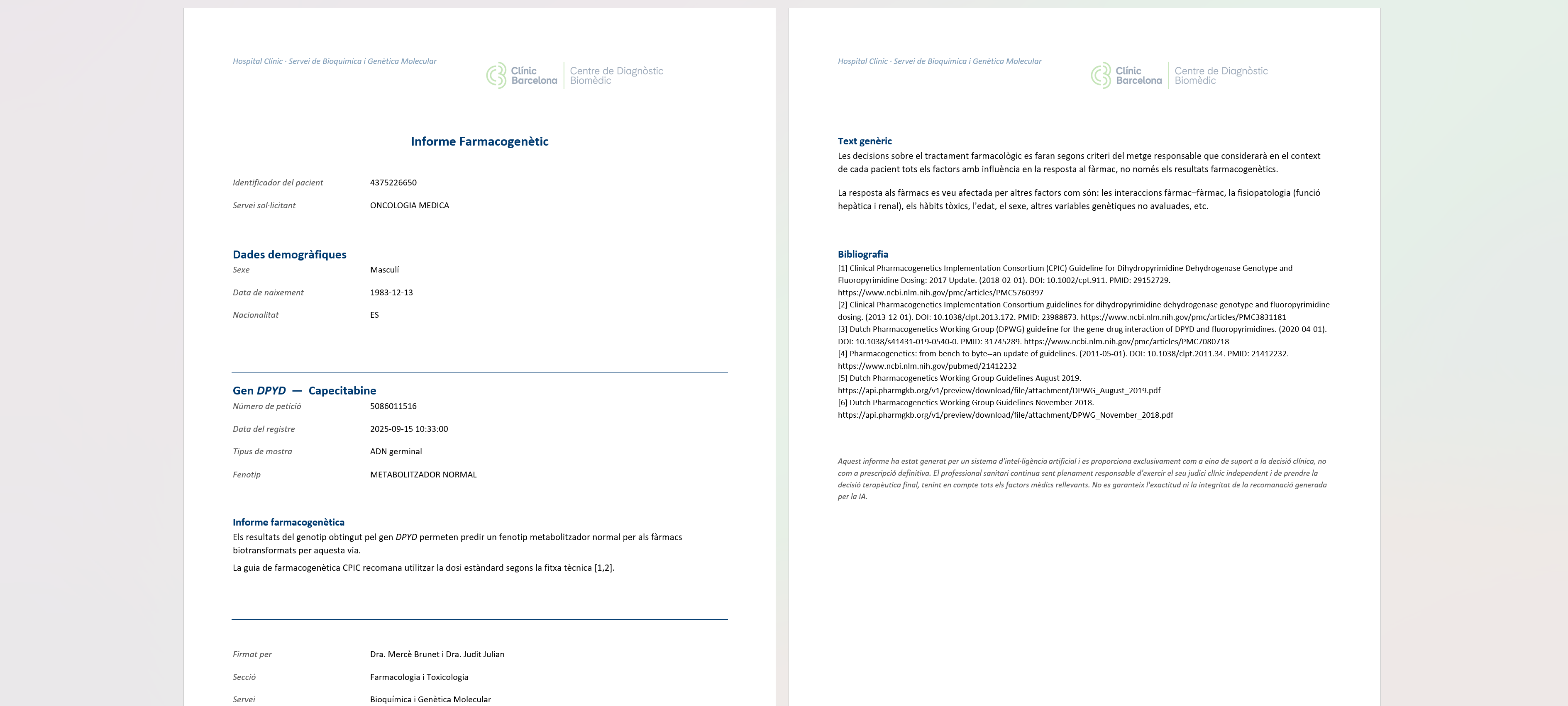 Informe generat (Word)